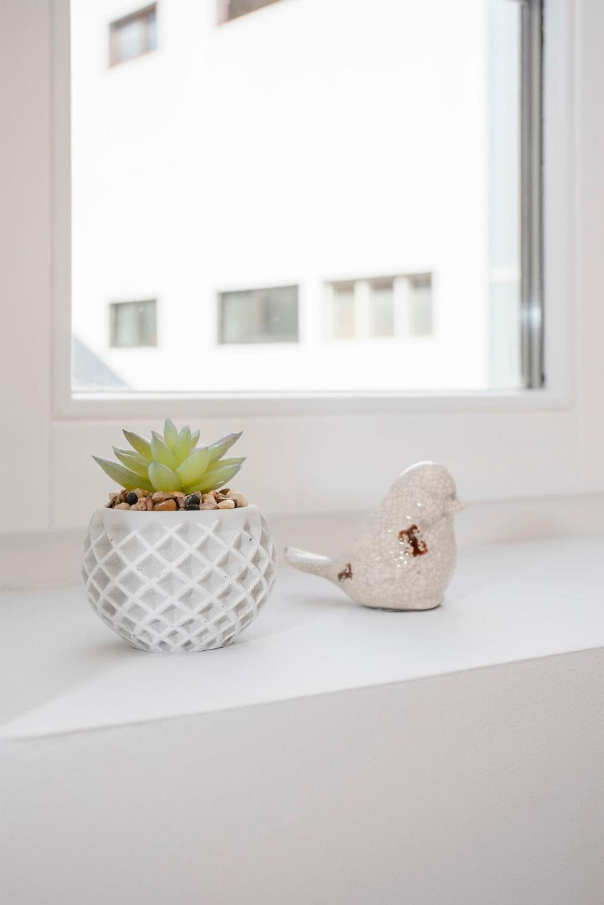 Liiiving In Porto - Alma De Santa Catarina Apartment Екстериор снимка